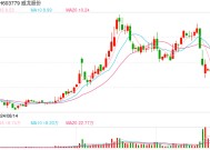 威龙股份实控人涉嫌挪用资金罪被监视居住，公司应加强内部管理